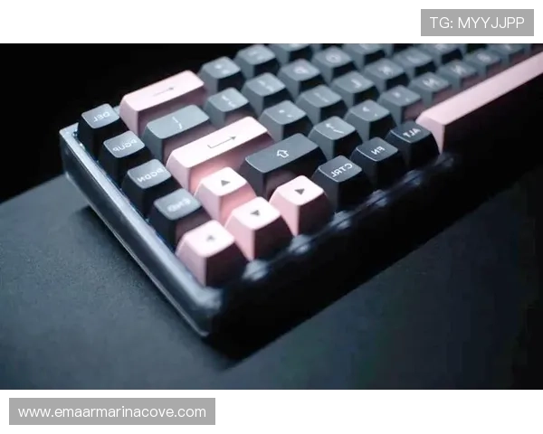 了解ttc键盘官网的品牌历史与发展历程，感受ttc键盘的专业制造实力