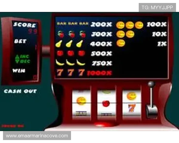 多样化的老虎机网站游戏类型介绍，满足不同玩家的娱乐和挑战需求