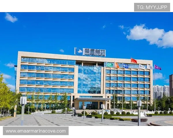 凯发集团网页版登录入口登录遇到问题怎么办，详细解决方案