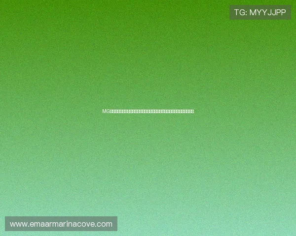 MG篮球巨星电子游戏网站带你畅享世界杯主题篮球比赛精彩瞬间与最新赛事资讯